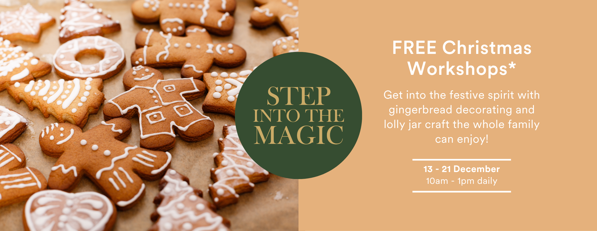 Step into Magic Web Hero Desktop.png